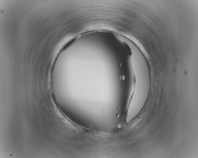 X0000077330815200611171806