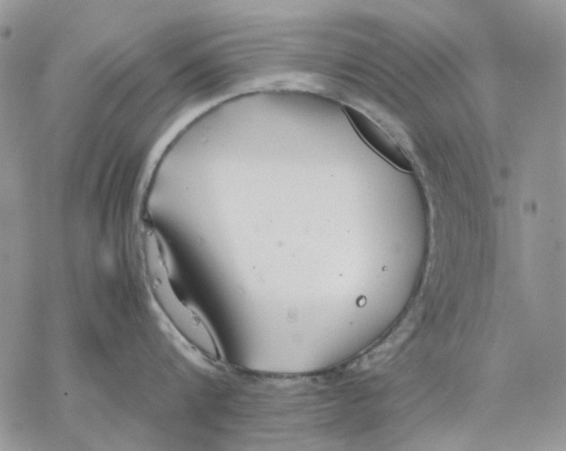 X0000077330816200611171806