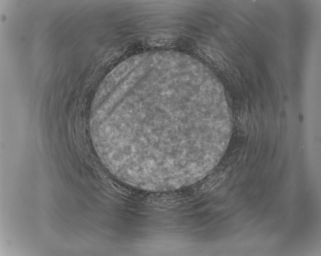 X0000077330817200611171805