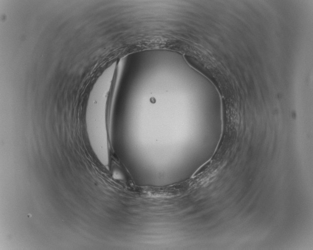 X0000077330818200611171805