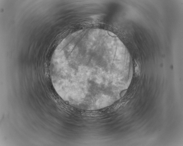 X0000077330819200611171805