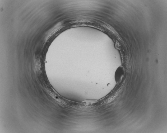 X0000077330826200611171805