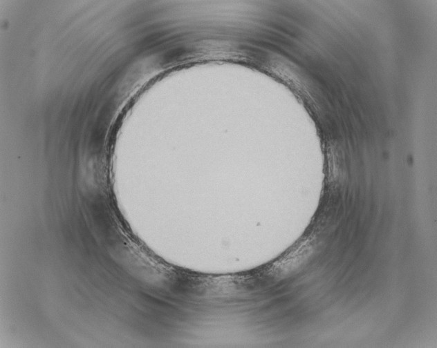 X0000077330828200611171805