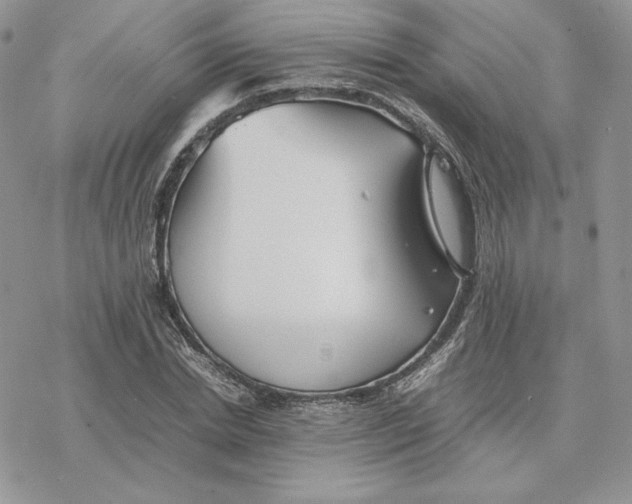 X0000077330830200611171805