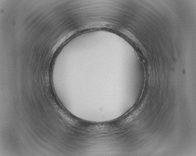 X0000077330834200611171805