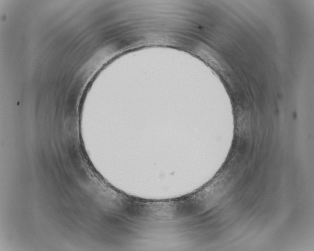 X0000077330836200611171805