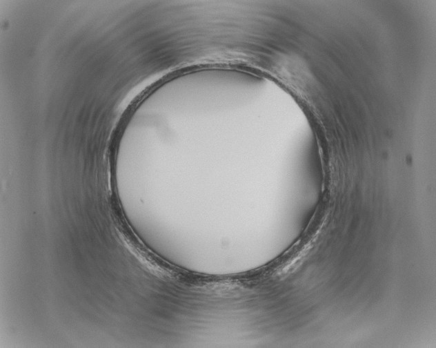 X0000077330838200611171805