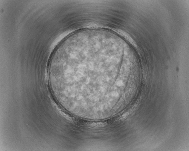 X0000077330839200611171805