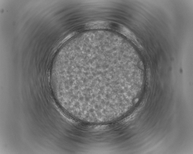 X0000077330841200611171805