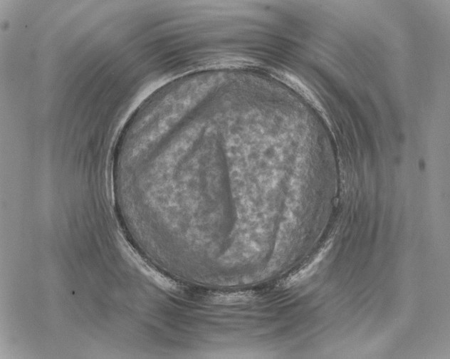 X0000077330843200611171805