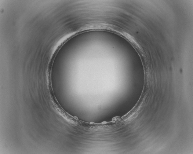 X0000077330846200611171805