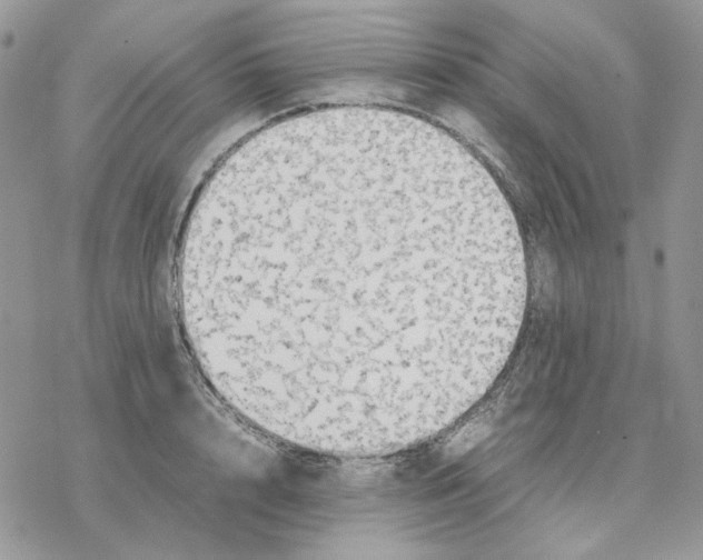 X0000077330848200611171805