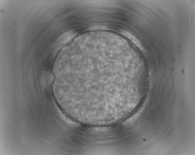 X0000077330849200611171805