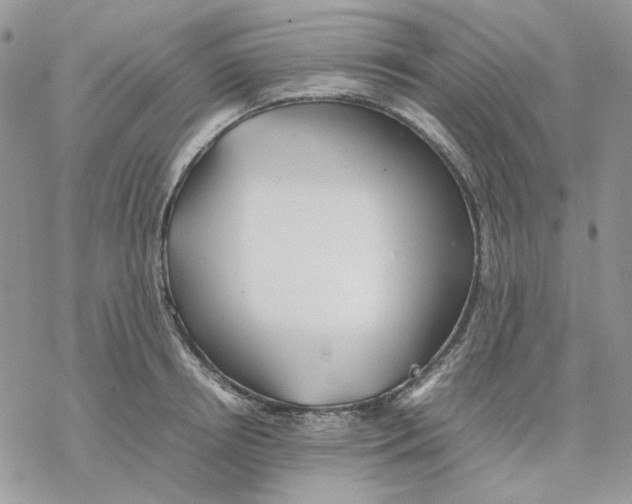 X0000077330850200611171805