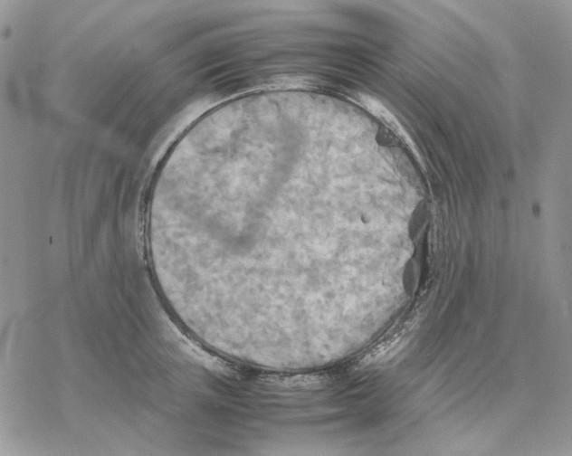 X0000077330851200611171805