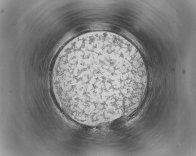 X0000077330853200611171805