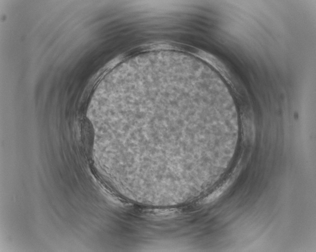 X0000077330857200611171806