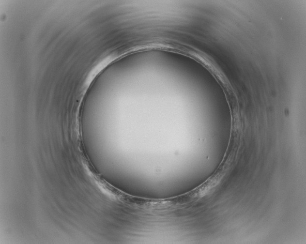 X0000077330858200611171806