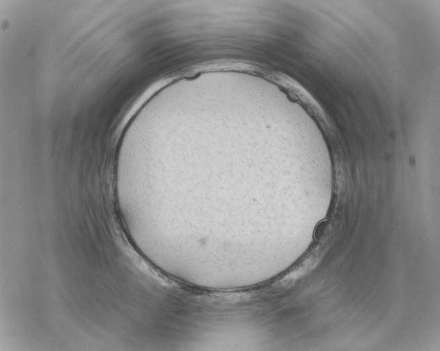 X0000077330860200611171806