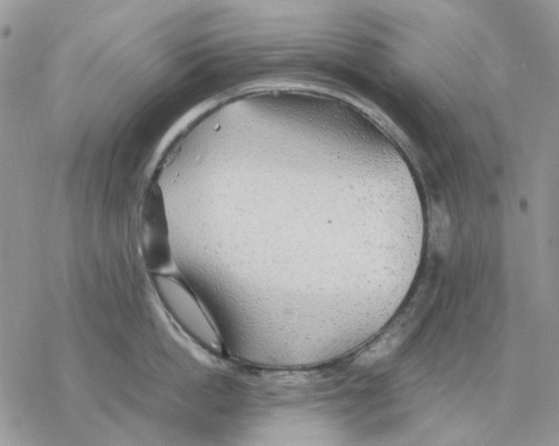 X0000077330862200611171806