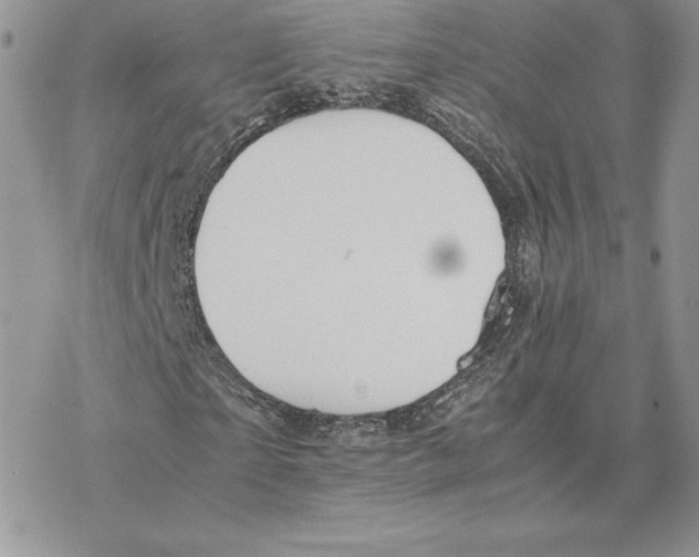 X0000077330865200611171805