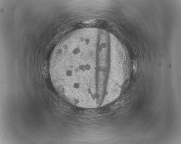 X0000077330867200611171805