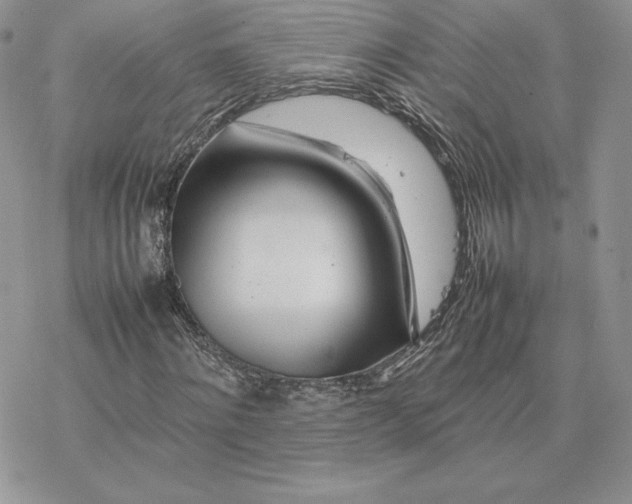 X0000077330868200611171805