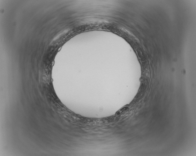 X0000077330869200611171805