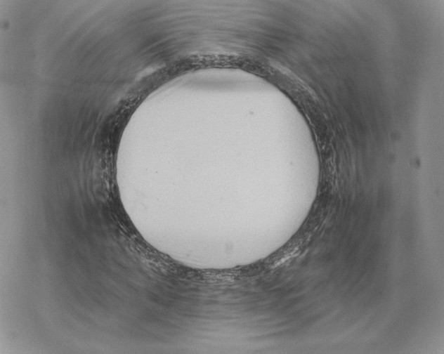 X0000077330870200611171805