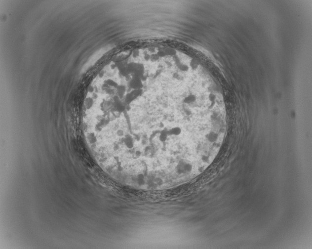 X0000077330871200611171805