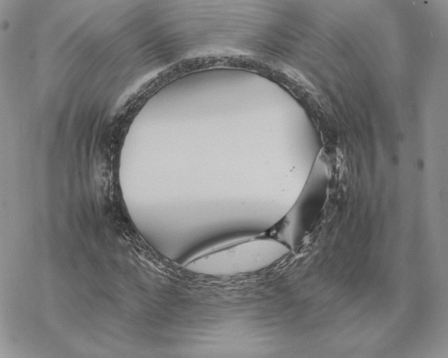 X0000077330872200611171805