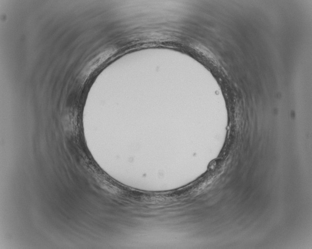 X0000077330873200611171805