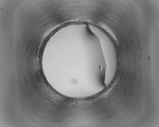 X0000077330876200611171805