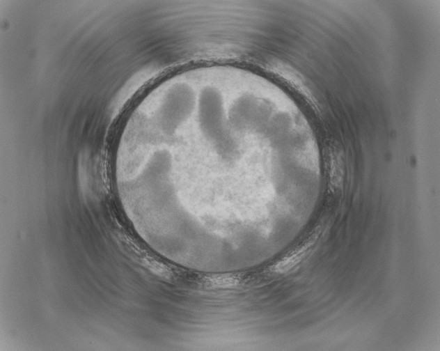 X0000077330878200611171805