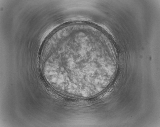 X0000077330879200611171805