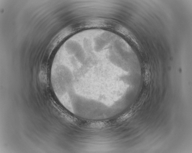 X0000077330882200611171805