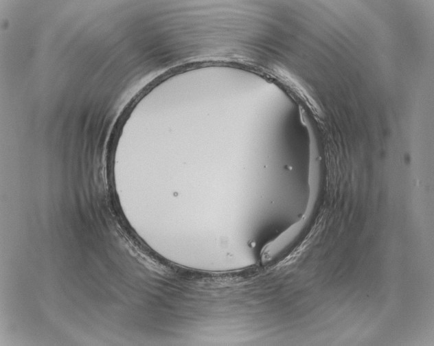 X0000077330884200611171805