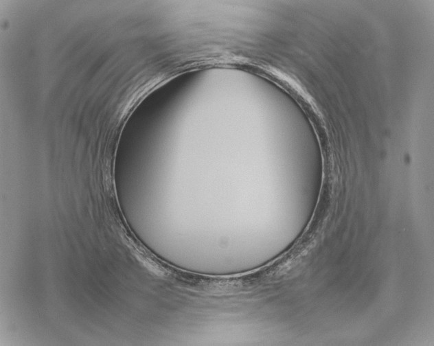 X0000077330889200611171804