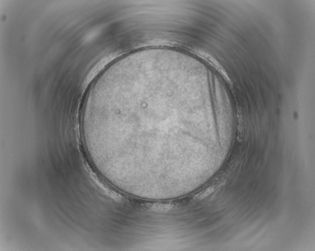 X0000077330890200611171804