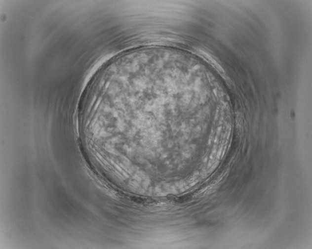 X0000077330891200611171804