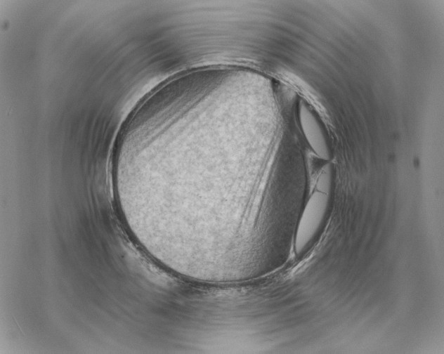 X0000077330892200611171804