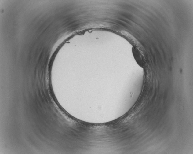 X0000077330894200611171804