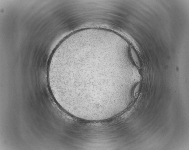 X0000077330896200611171804