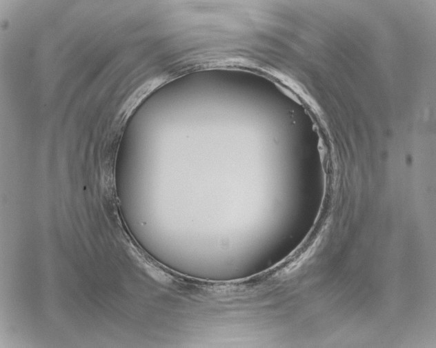 X0000077330897200611171804