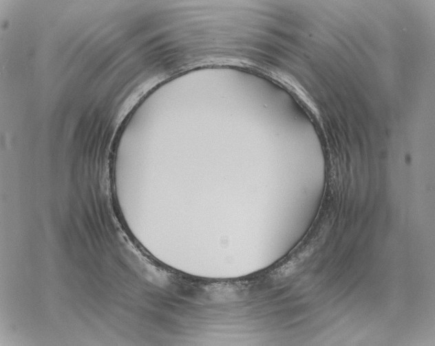 X0000077330898200611171804