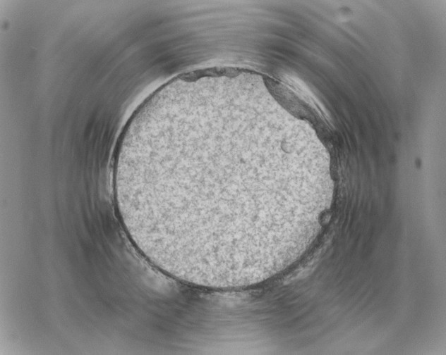 X0000077330900200611171804