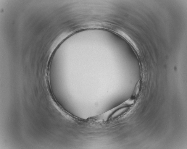 X0000077330901200611171804