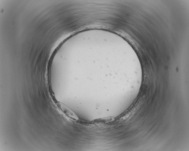 X0000077330902200611171804