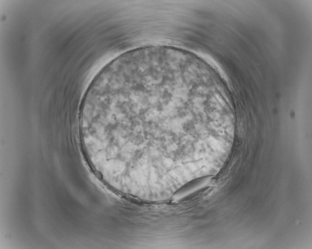 X0000077330903200611171804