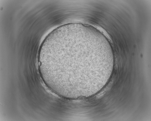 X0000077330904200611171804